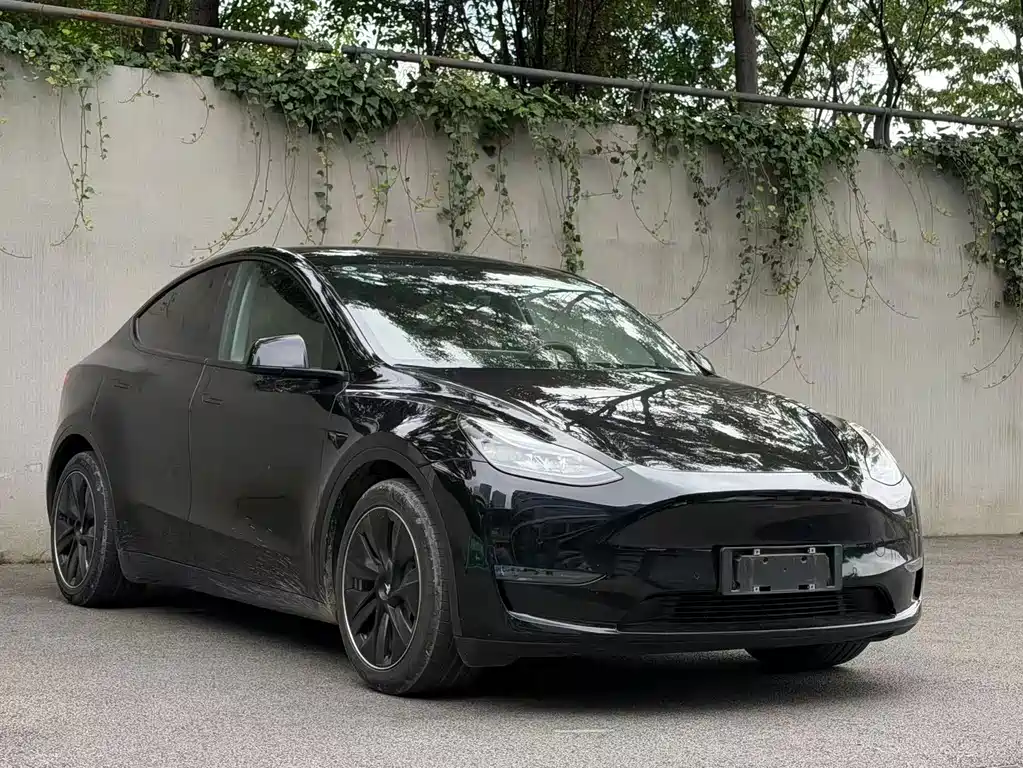 Tesla Model Y — фото 3