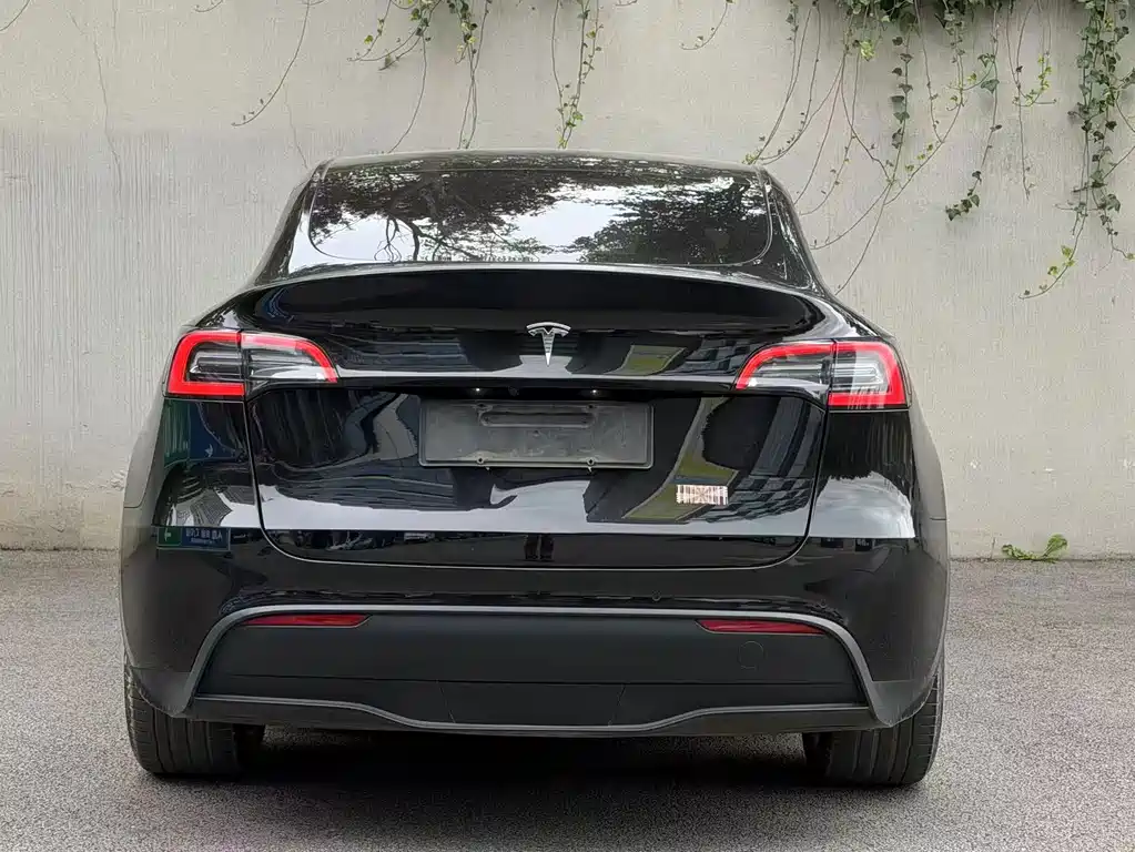 Tesla Model Y — фото 5