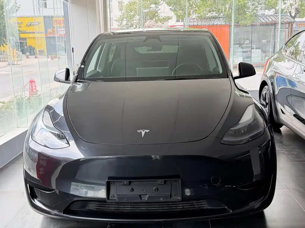 Tesla Model Y — фото 2