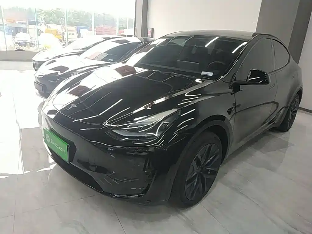 Tesla Model Y — фото 2