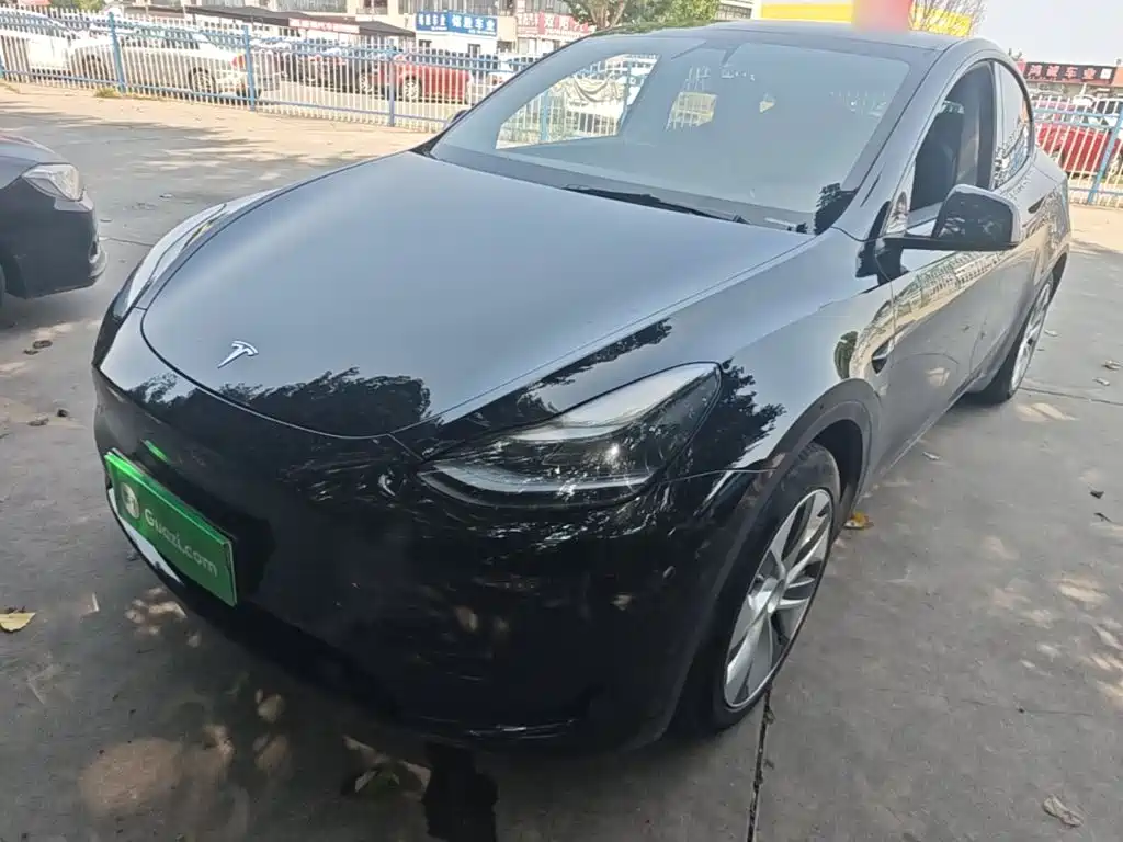 Tesla Model Y — фото 2