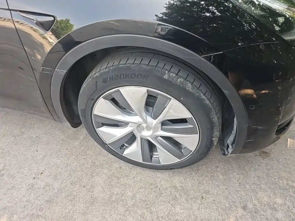 Tesla Model Y — фото 23