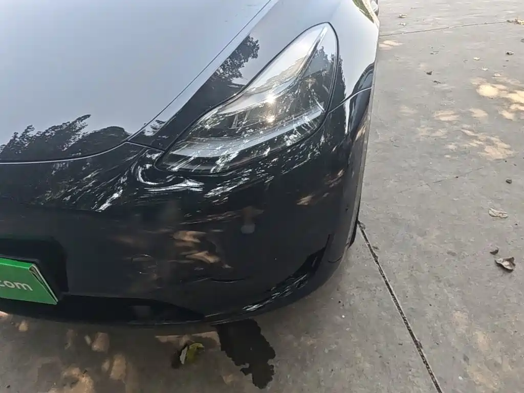 Tesla Model Y — фото 24