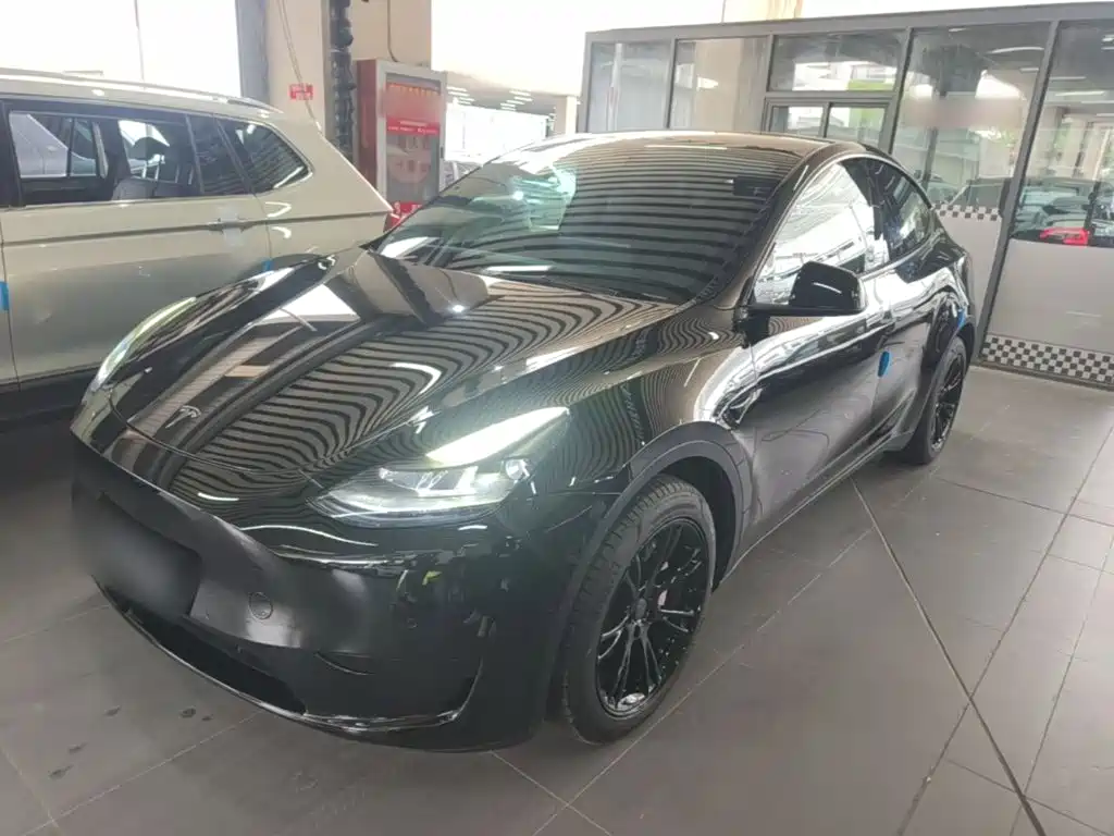 Tesla Model Y — фото 2