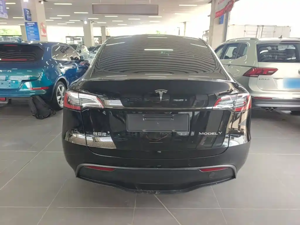 Tesla Model Y — фото 6