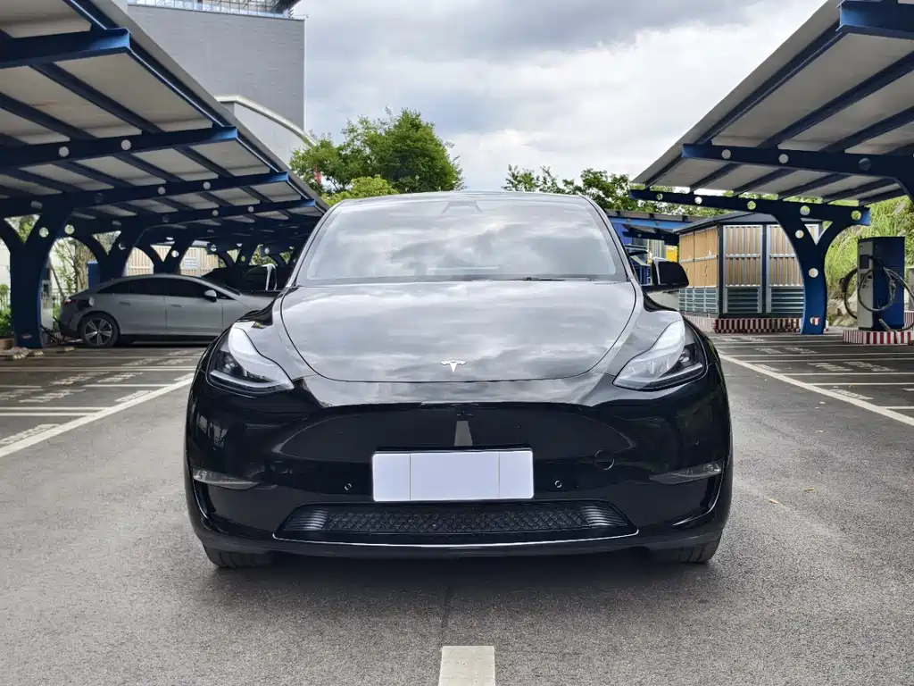Tesla Model Y — фото 2
