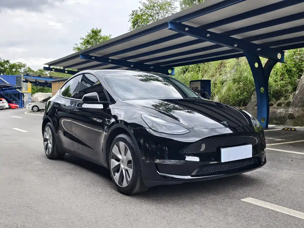 Tesla Model Y — фото 3