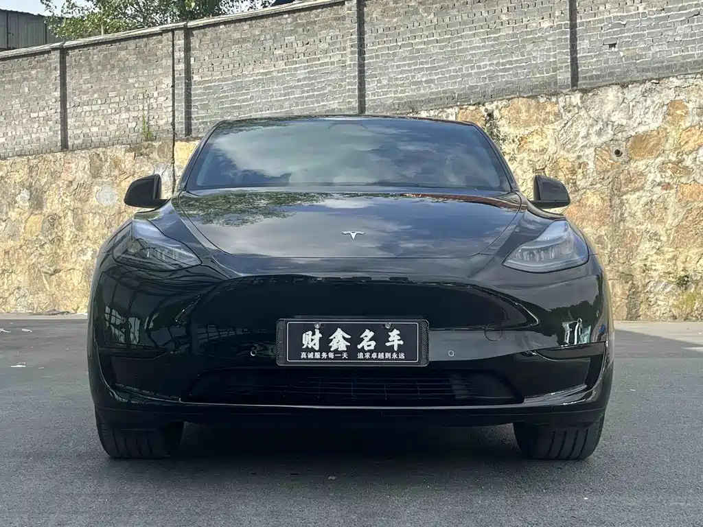 Tesla Model Y — фото 2