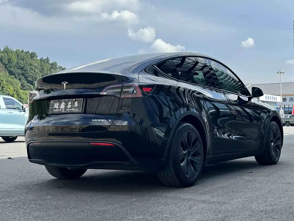 Tesla Model Y — фото 9