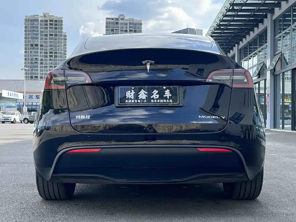 Tesla Model Y — фото 10