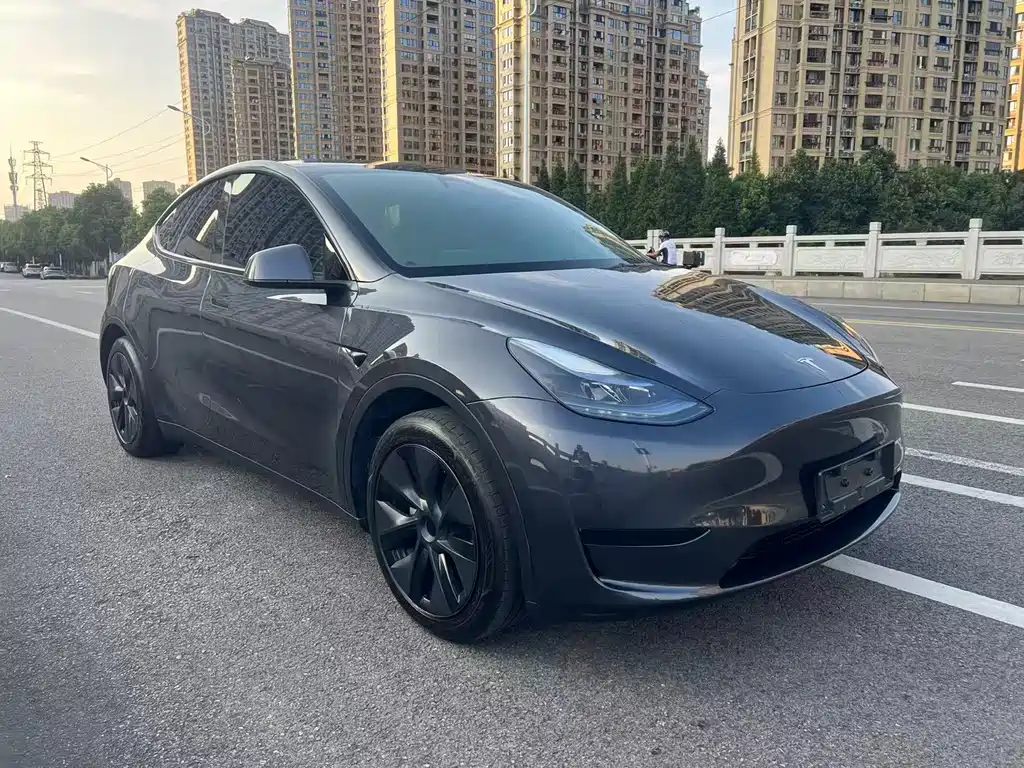 Tesla Model Y — фото 3