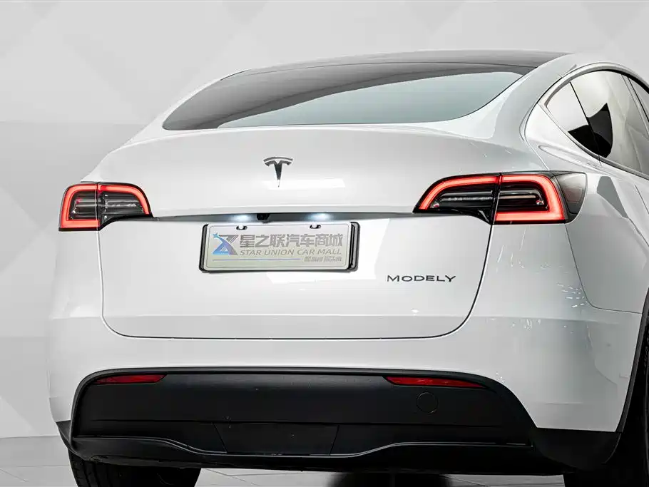 Tesla Model Y — фото 7