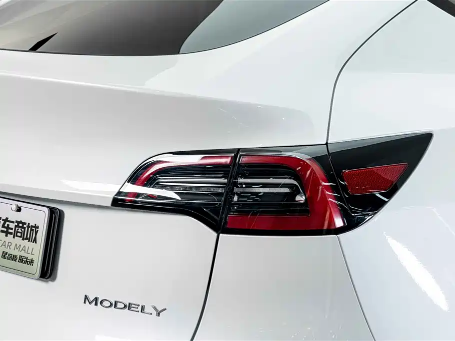 Tesla Model Y — фото 8