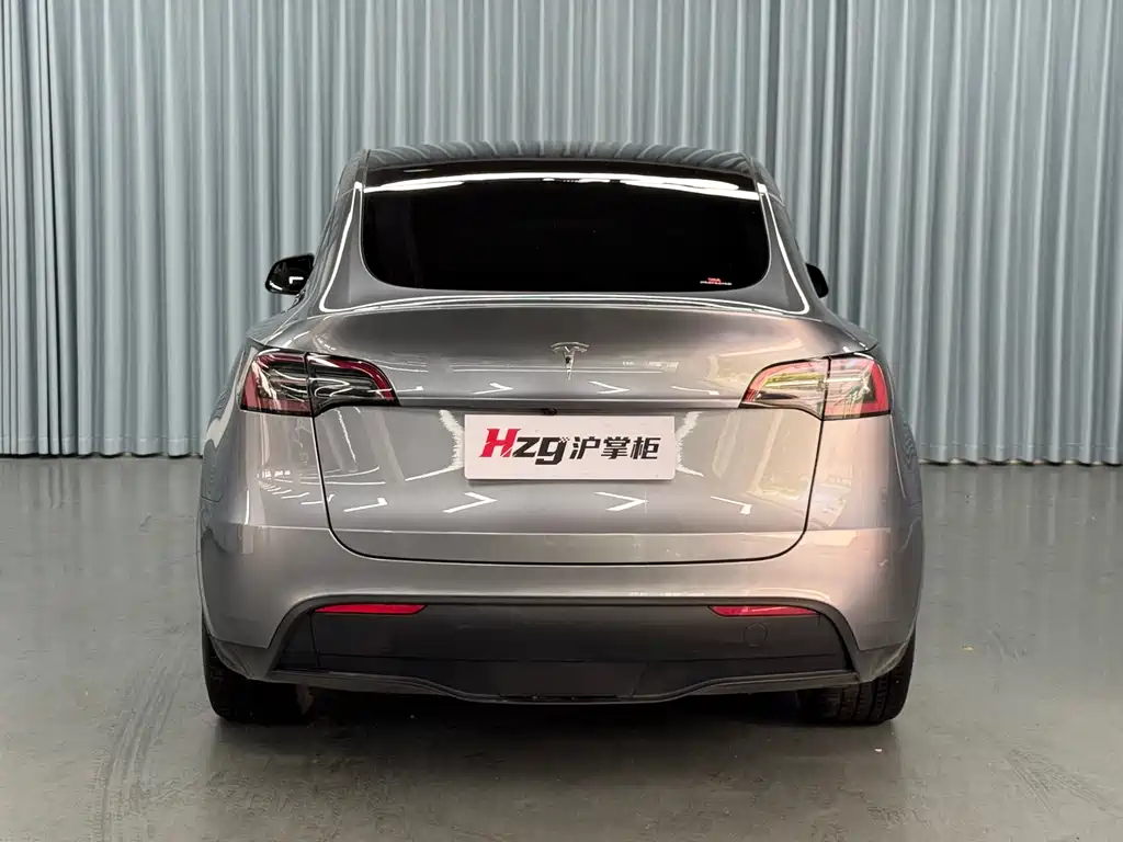 Tesla Model Y — фото 8