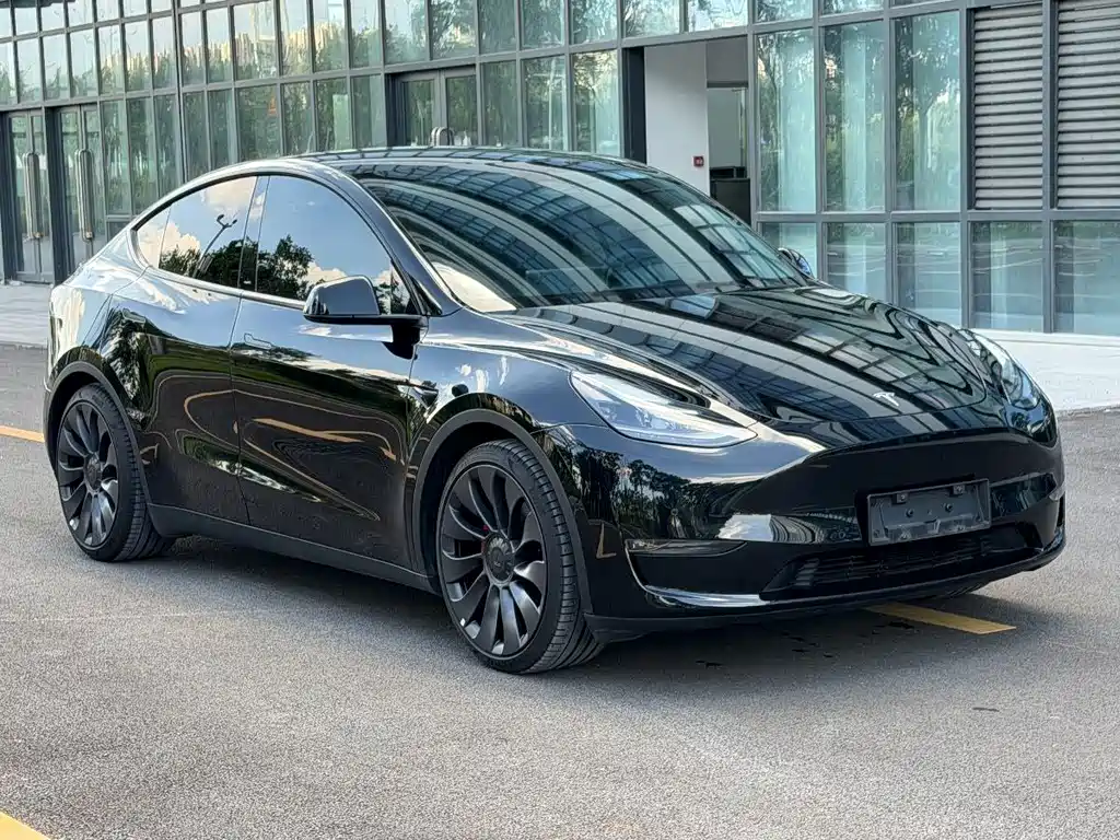Tesla Model Y — фото 3