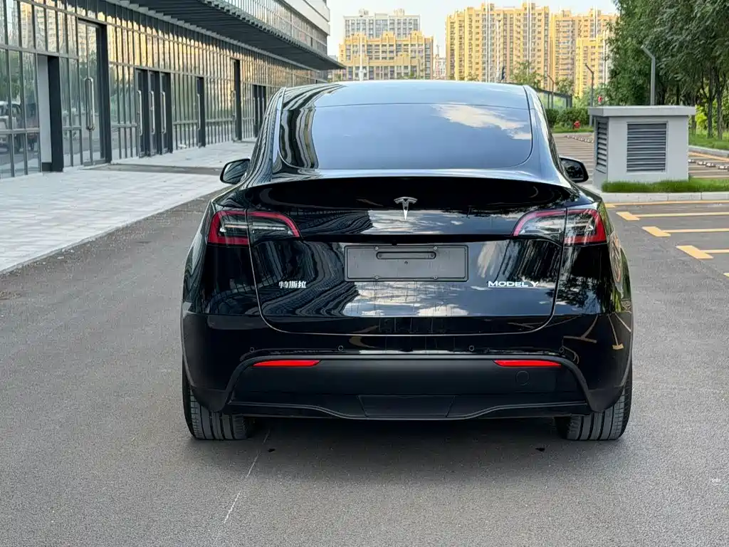 Tesla Model Y — фото 5