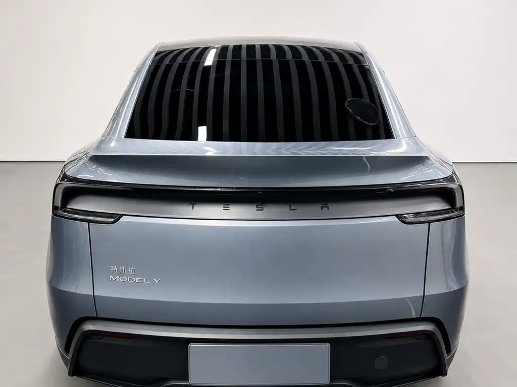 Tesla Model Y — фото 5