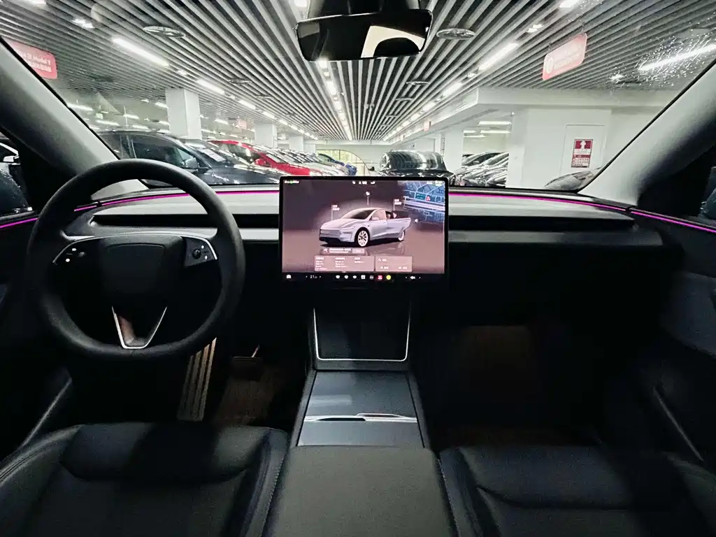 Tesla Model Y — фото 9