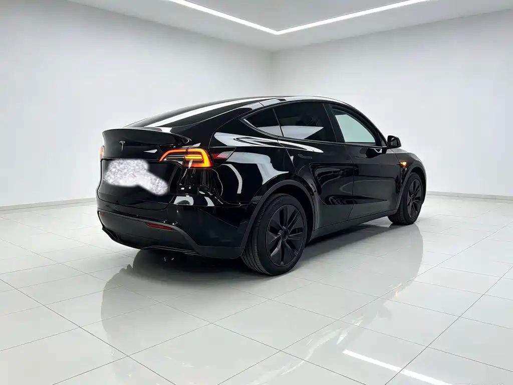 Tesla Model Y — фото 13