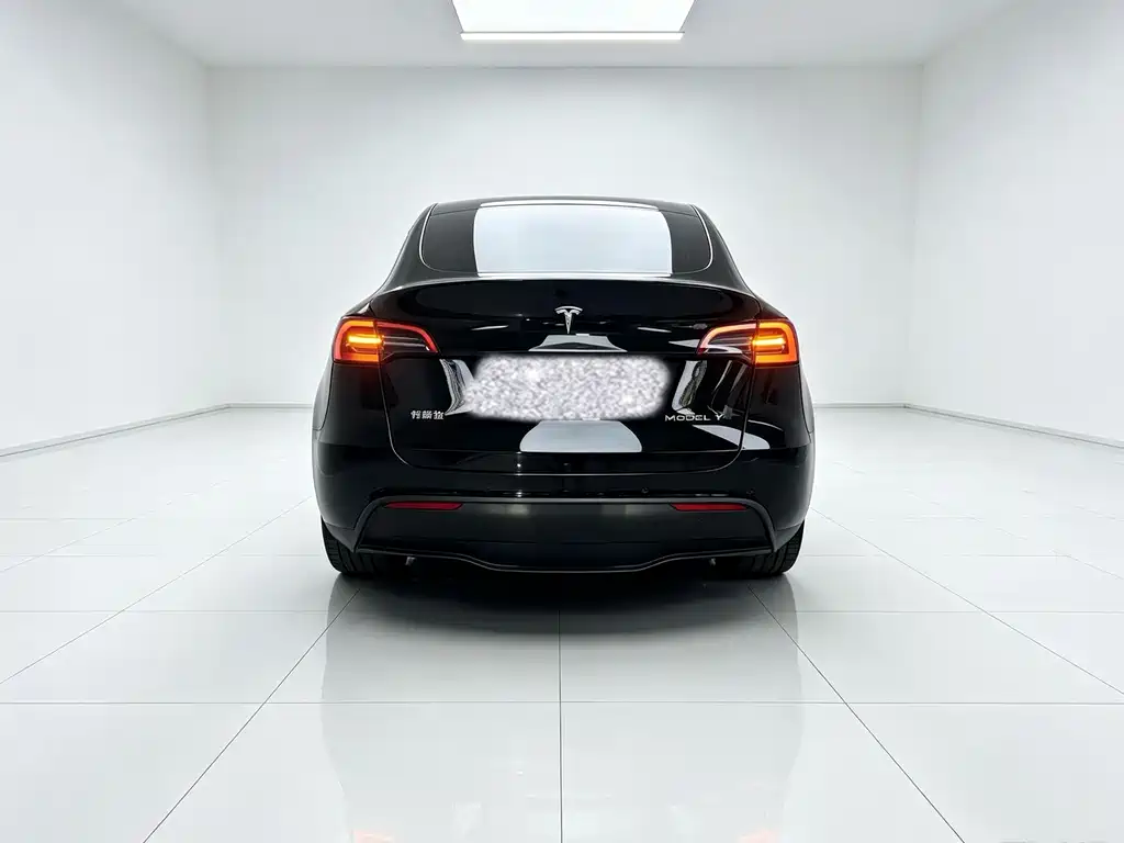Tesla Model Y — фото 14