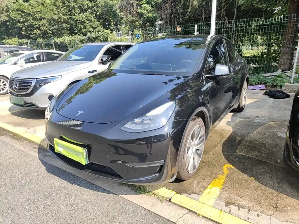 Tesla Model Y — фото 2