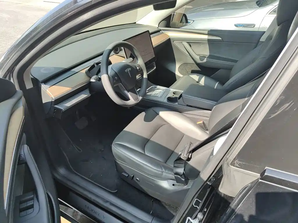 Tesla Model Y — фото 15