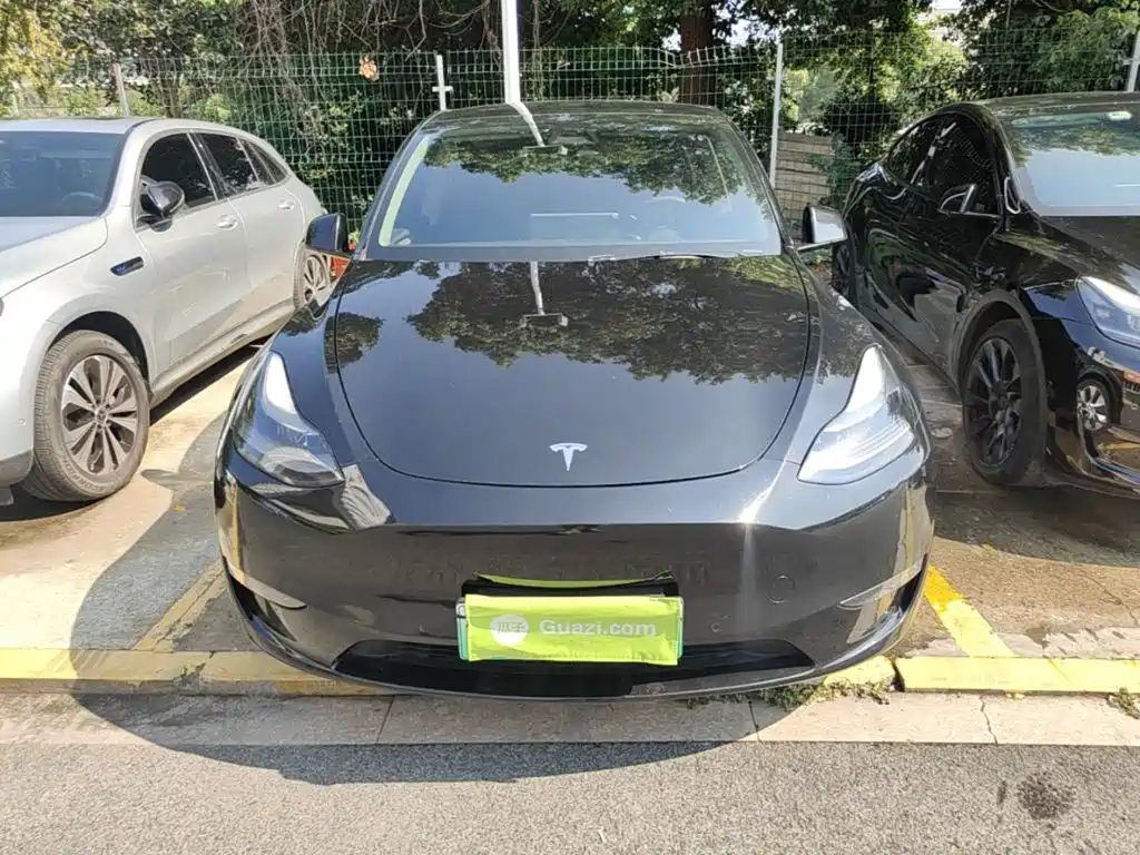Tesla Model Y — фото 3