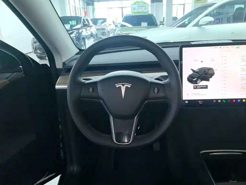 Tesla Model Y — фото 11