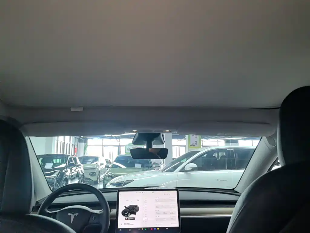 Tesla Model Y — фото 18