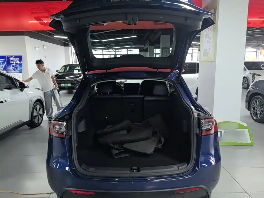 Tesla Model Y — фото 19