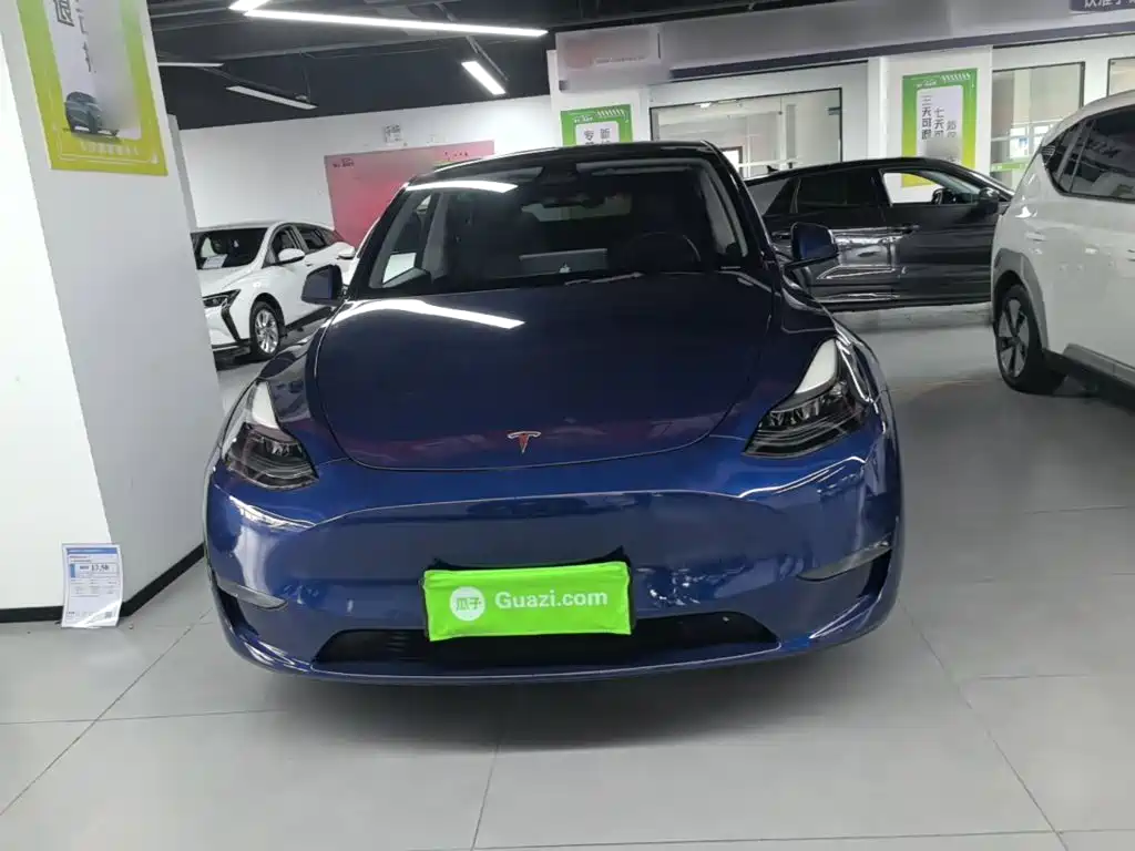 Tesla Model Y — фото 3