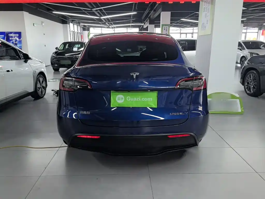 Tesla Model Y — фото 6
