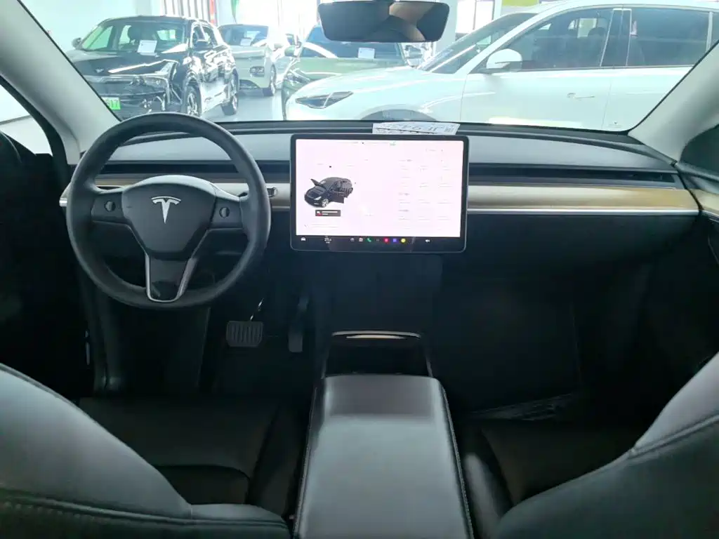 Tesla Model Y — фото 10