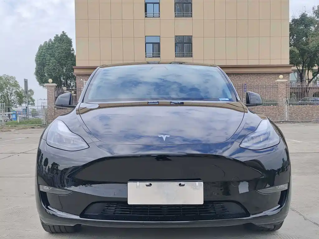Tesla Model Y — фото 2