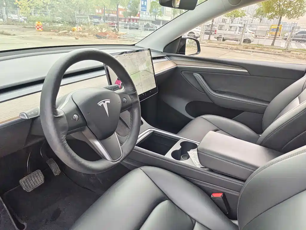 Tesla Model Y — фото 29