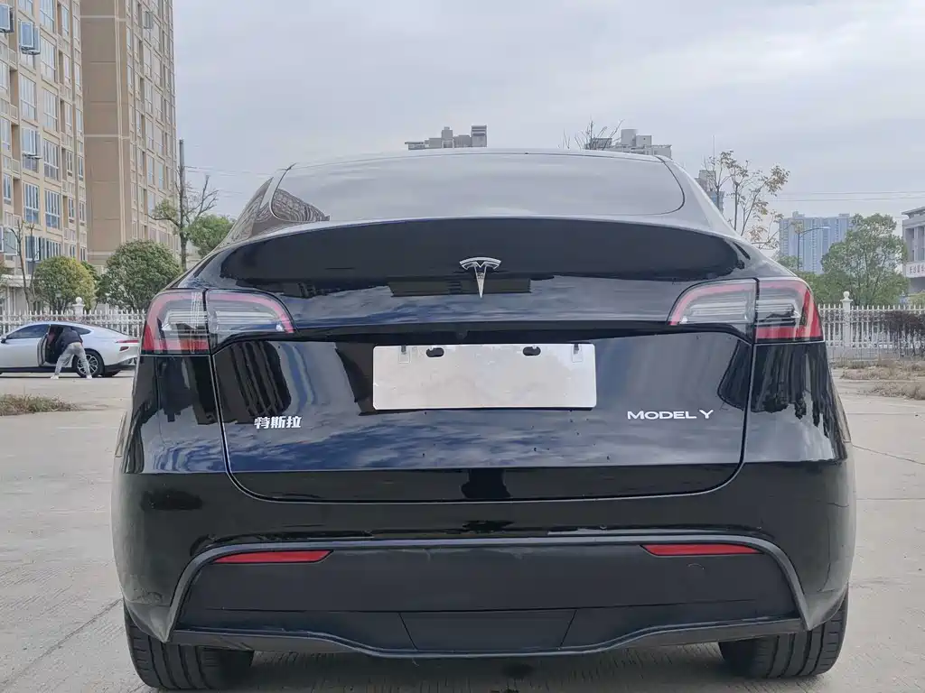 Tesla Model Y — фото 5