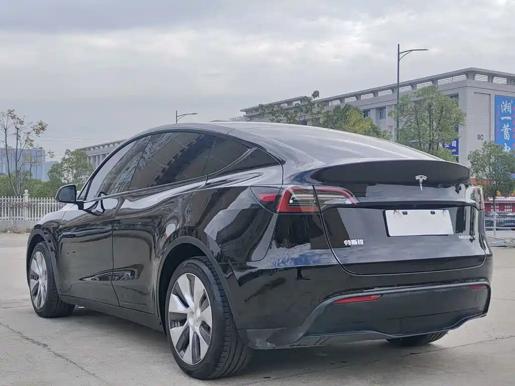 Tesla Model Y — фото 6