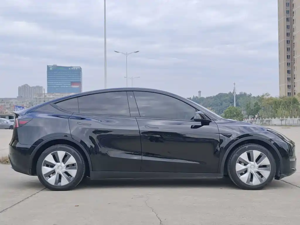 Tesla Model Y — фото 8