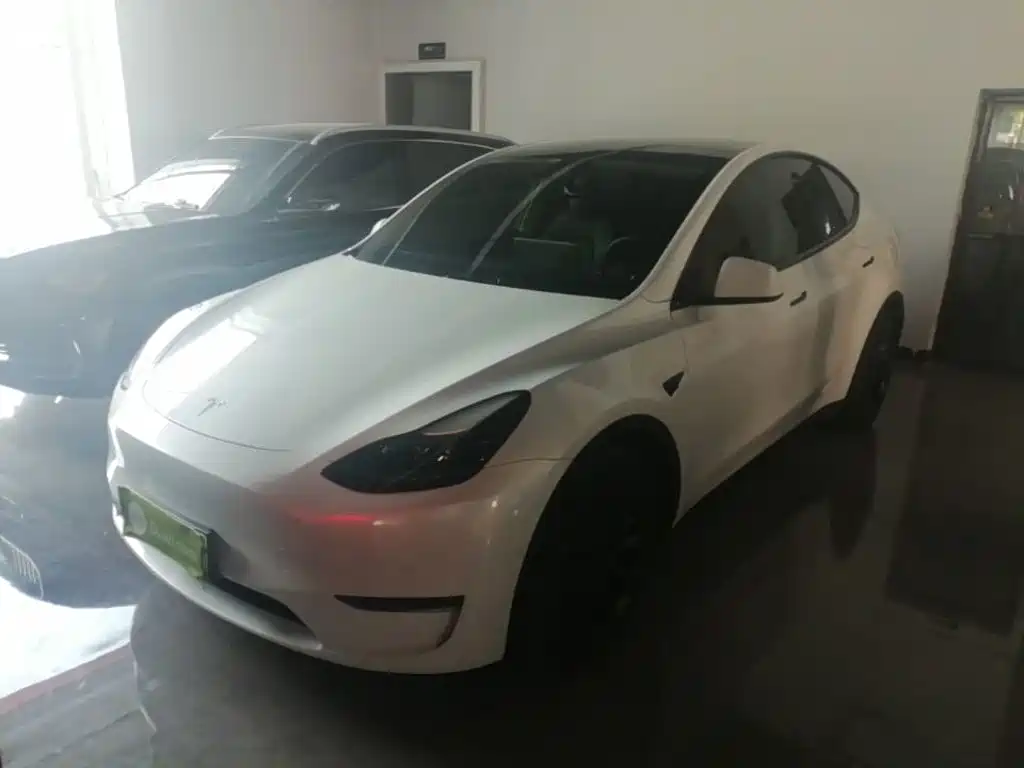Tesla Model Y — фото 2