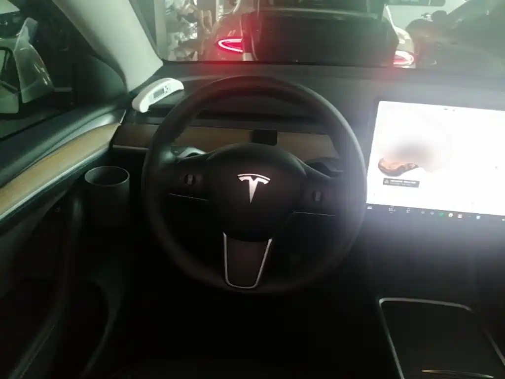 Tesla Model Y — фото 11