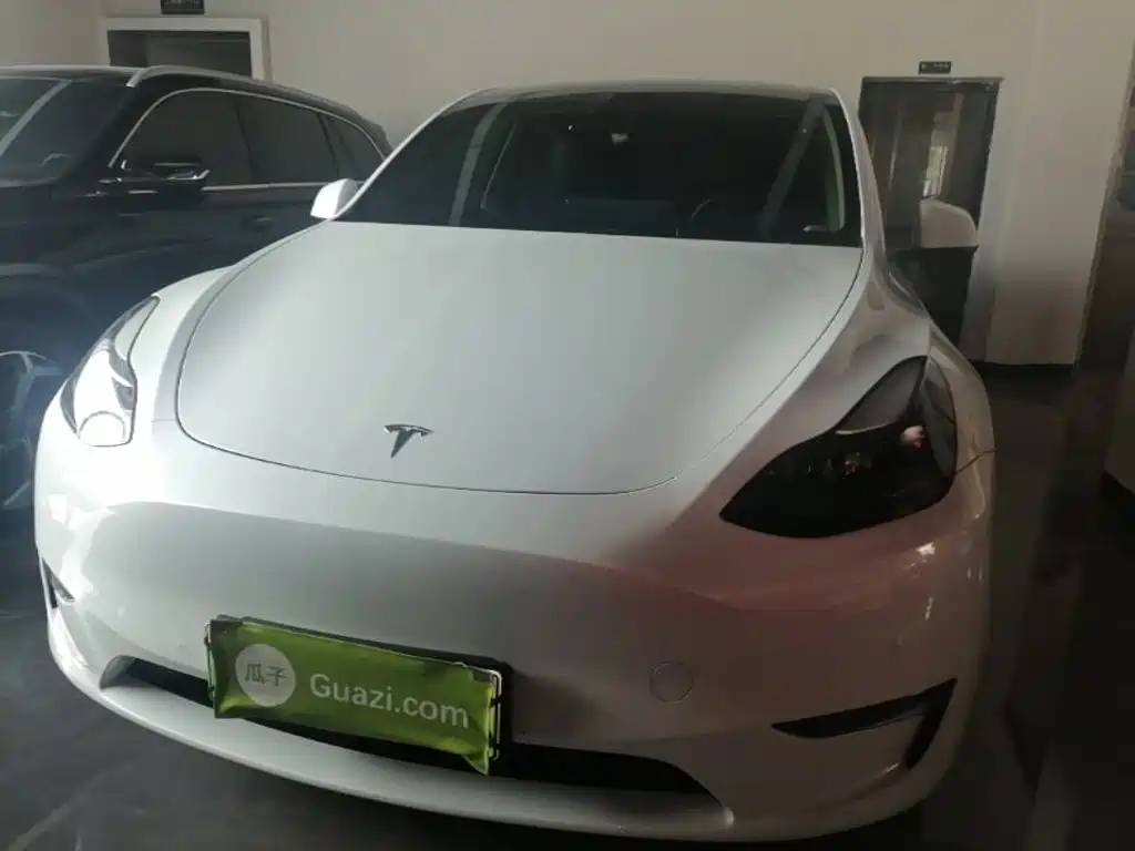 Tesla Model Y — фото 3