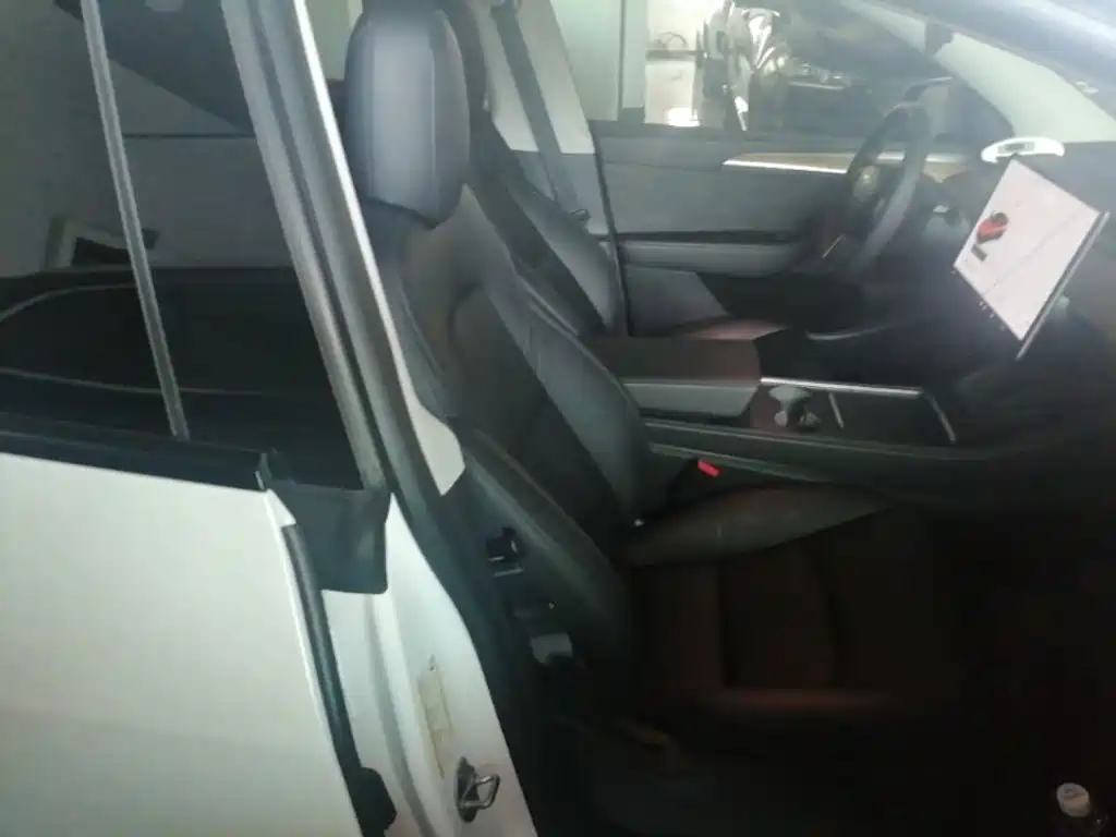 Tesla Model Y — фото 25