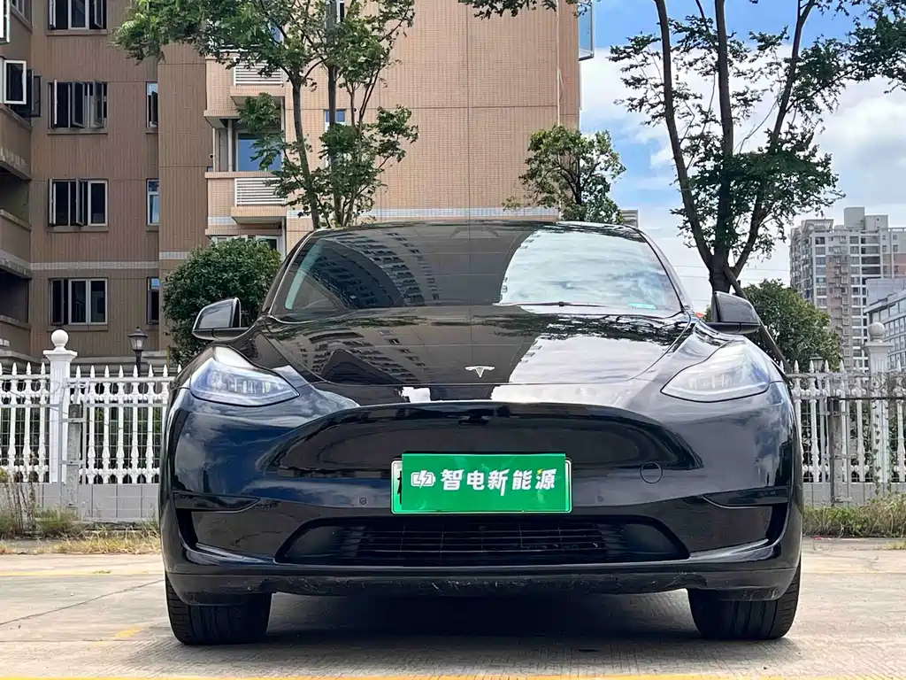 Tesla Model Y — фото 2