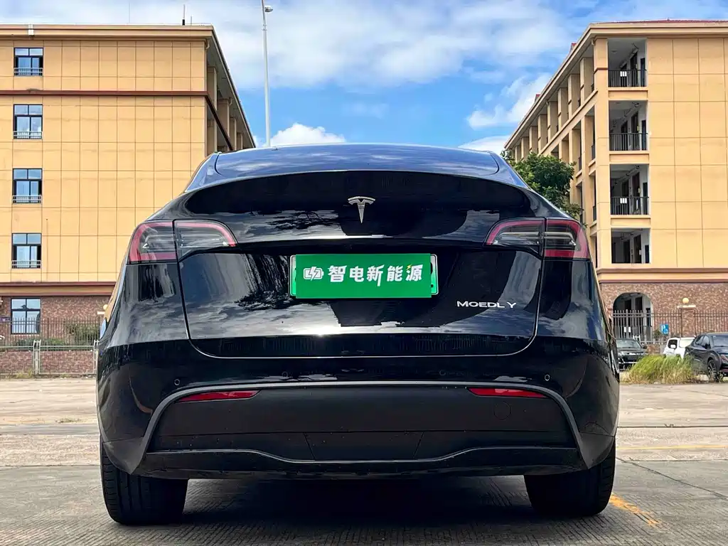 Tesla Model Y — фото 11