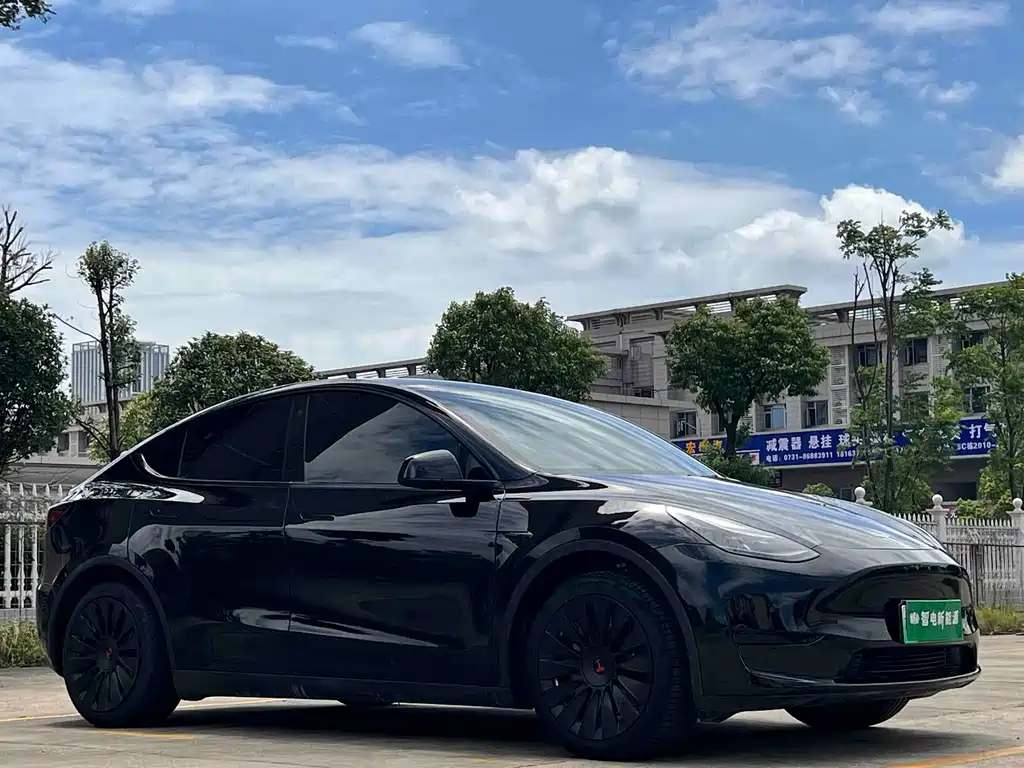 Tesla Model Y — фото 3