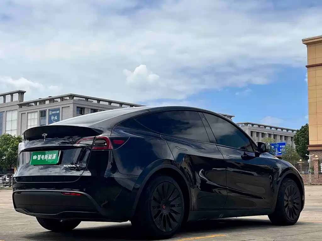 Tesla Model Y — фото 10