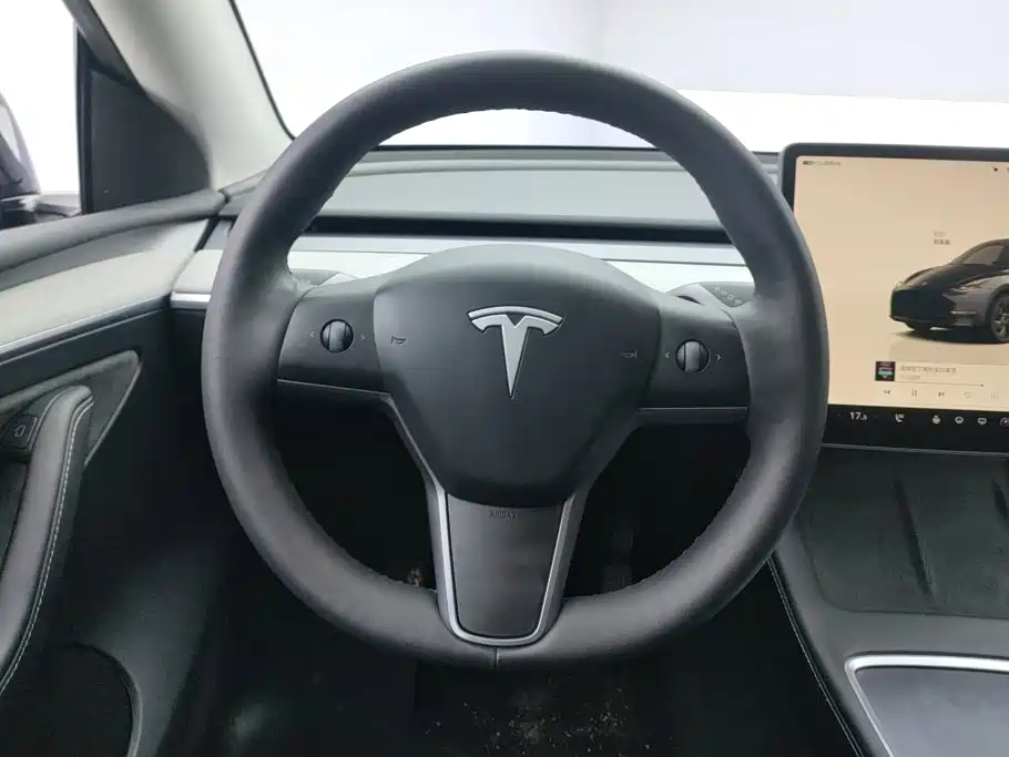 Tesla Model Y — фото 15