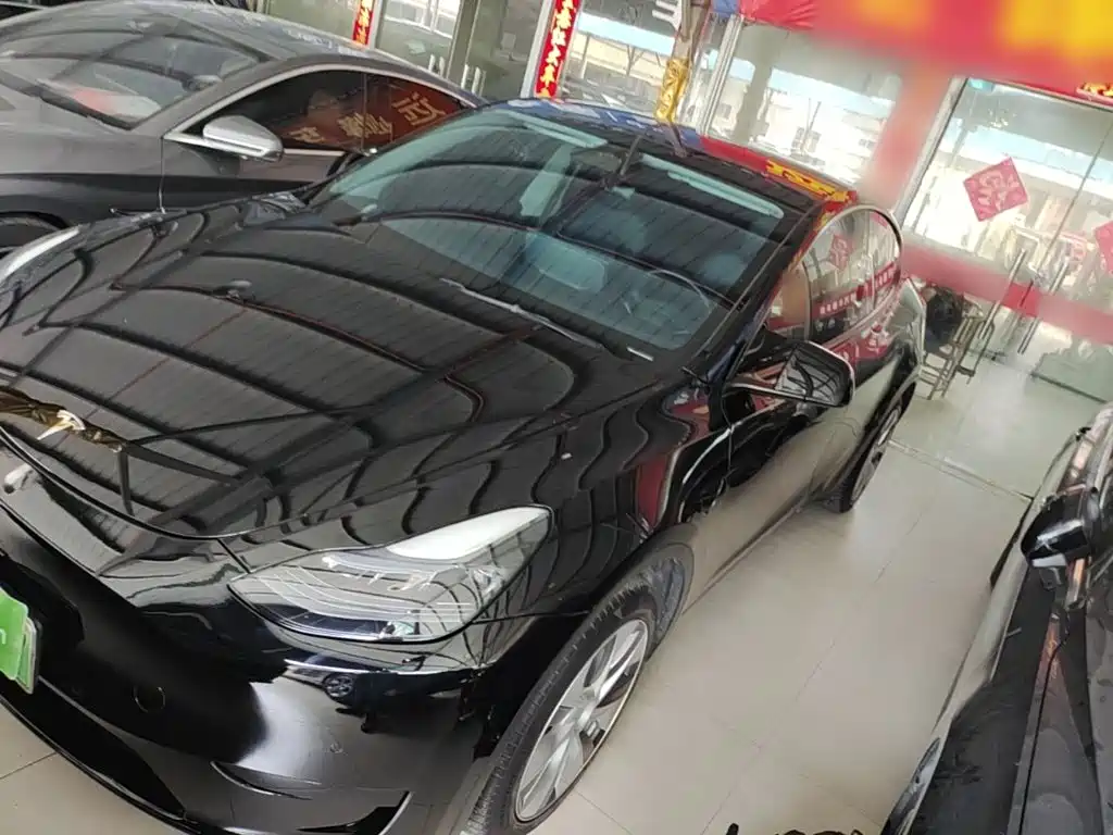 Tesla Model Y — фото 2