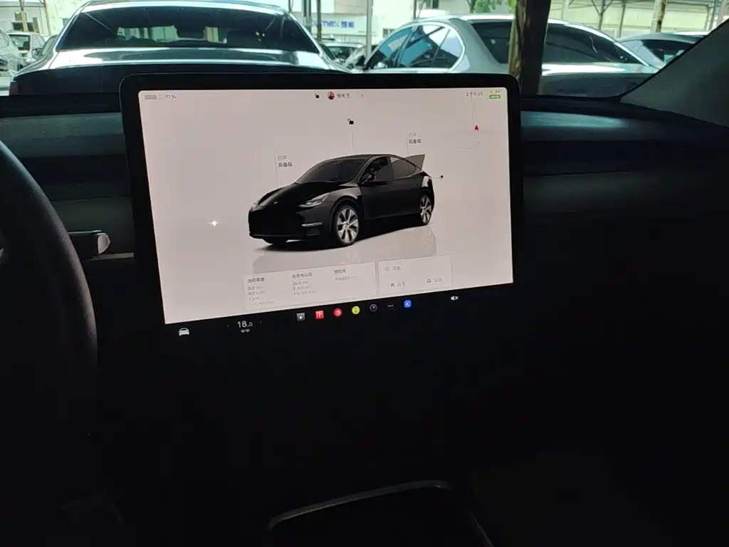 Tesla Model Y — фото 13