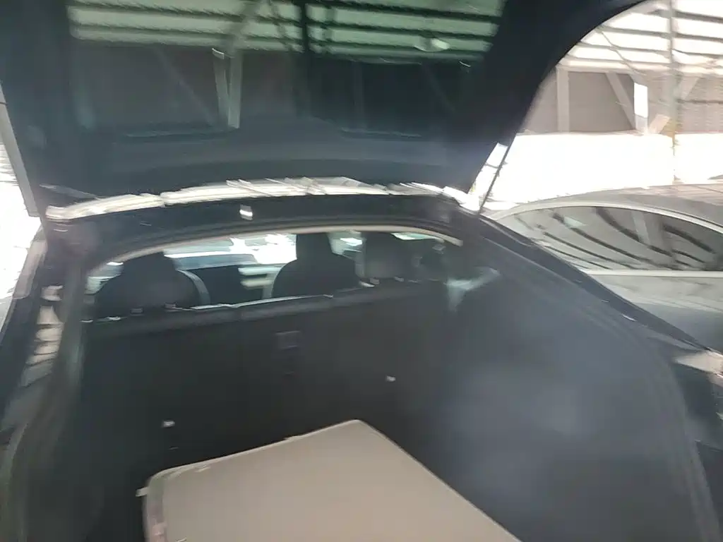 Tesla Model Y — фото 19